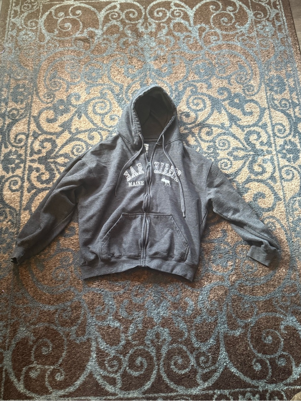 Hooded Zip Sweatshirt - Gray